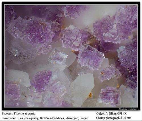 Fluorite
Les Rocs Quarry, Buxières-les-Mines, Allier, Auvergne, France
fov 5 mm (Author: ploum)