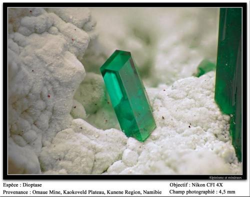 Dioptase
Omaue Mine, Kaokoveld Plateau, Kunene Region, Namibia
fov 4.5 mm (Author: ploum)