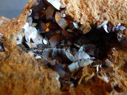 Siderita en Limonita<br />Iron mines of Ojos Negros, Ojos Negros, Comarca Jiloca, Teruel, Aragon, Spain<br />4,5 x 2,5 cm. la geoda, 0,5 cm. el cristal mayor,<br /> (Autor: javier ruiz martin)