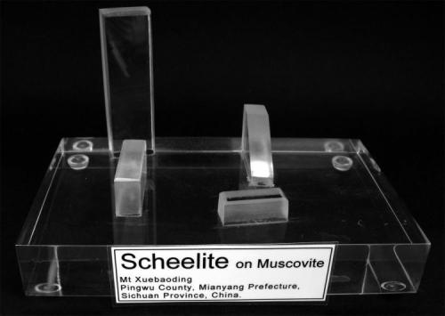 LF_SCHEELITE PLATE_STAND_LABEL.JPG (Author: Louis Friend)