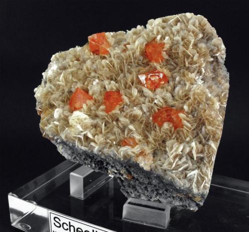 Scheelite on Muscovite
Mt Xuebaoding Pingwu County, Mianyang Prefecture, Sichuan Province, China.
13 x 11 x 8 cm; 1130 gram (Author: Louis Friend)