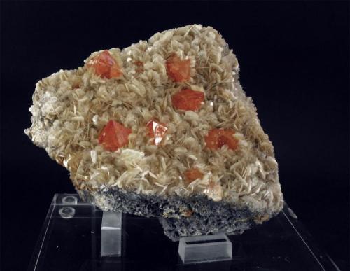 Scheelite on Muscovite
Mt Xuebaoding Pingwu County, Mianyang Prefecture, Sichuan Province, China.
13 x 11 x 8 cm; 1130 gram (Author: Louis Friend)