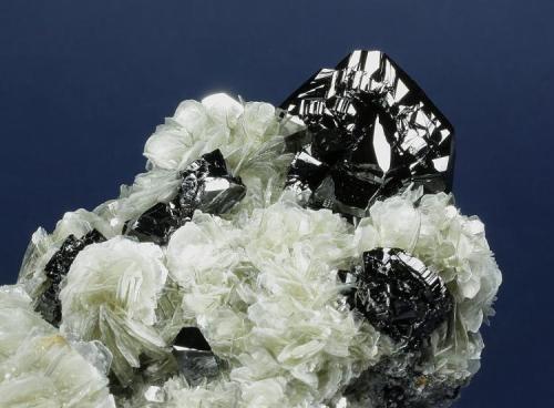 Cassiterite on Muscovite with Beryl and Topaz
Mt. Xuebaoding, Pingwu County,  Mianyang Prefecture, Sichuan Province, China
106.0 x 70.0 x 39.0 mm overall
Multiple, highly lustrous black Cassiterite crystals are nestled within a matrix of Muscovite blades to 13 mm forming rosettes. Cassiterite is present as both twinned crystals to 32 x 32 x 25 mm and untwinned crystals to 10 mm. Several clear, lustrous Beryl (v. Goshenite) crystals provide an accent. A small sherry-colored Topaz to 7 mm is nestled within one of the Muscovite rosettes; topaz are rare from this locality. (Author: GneissWare)