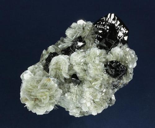 Cassiterite on Muscovite with Beryl and Topaz
Mt. Xuebaoding, Pingwu County,  Mianyang Prefecture, Sichuan Province, China
106.0 x 70.0 x 39.0 mm overall
Multiple, highly lustrous black Cassiterite crystals are nestled within a matrix of Muscovite blades to 13 mm forming rosettes. Cassiterite is present as both twinned crystals to 32 x 32 x 25 mm and untwinned crystals to 10 mm. Several clear, lustrous Beryl (v. Goshenite) crystals provide an accent. A small sherry-colored Topaz to 7 mm is nestled within one of the Muscovite rosettes; topaz are rare from this locality. (Author: GneissWare)