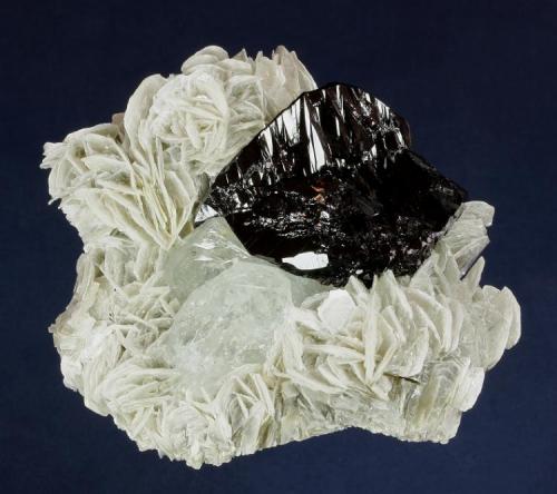 Cassiterite and Beryl on Muscovite
Mt. Xuebaoding, Pingwu County,  Mianyang Prefecture, Sichuan Province, China
86.0 x 78.0 x 37.0 mm overall
A perfect, lustrous black twin of Cassiterite, measuring 39 x 33 x 17 mm, is perched on a pair of pale blue Beryl crystals to 27 x 9 mm, all nestled in a matrix of Muscovite crystals to 18 mm across. No damage. (Author: GneissWare)