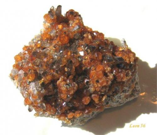 Spessartine (Garnet group)
Wushan, Tongbei, China
Specimen size : 5.5 x 5 x 3 cm. Crystal size : 0.3 cm. (Author: Leon56)