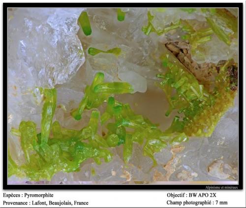 Pyromorphite
Lafont, Beaujolais, France
fov 7 mm (Author: ploum)