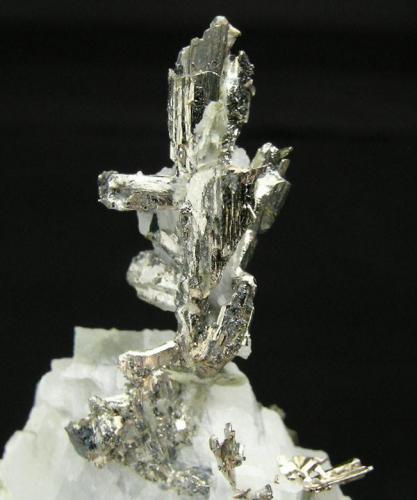 Allargentum con Dyscrasita, Plata, Calcita y Actinolita
Mina Bouismas, Zona Bou Azzer, Tazenakht, Ouarzazate, Marruecos
Encontrada el año 2009
Detalle
Foto: Minerales de Referencia (Autor: Jordi Fabre)