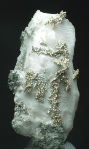 Plata Nativa sobre Calcita.
Mina Bouismas, Bou Azzer Area, Tazenakht, Ouarzazate, Marruecos.
6 x 3 cm.
Foto Joan Martínez Bruguera. (Autor: Carles Rubio)