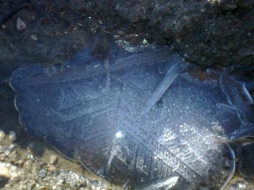 Ice
Quernmore, Lancashire
approx 15 cms across. (Author: nurbo)