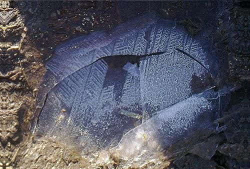 Ice
Quernmore, Lancashire.
Approx 20 cm across (Author: nurbo)