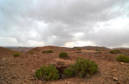 Ese día visitamos el casi desconocido yacimiento de endlichita cerca de la cantera AB. 
G. Sobieszek photo. (Autor: Josele)