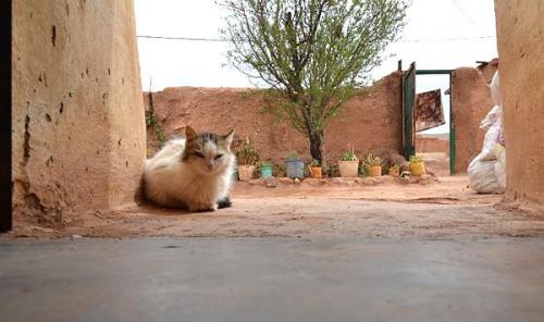 Patio de la casa de un minero en Mibladen. 
G. Sobieszek photo. (Autor: Josele)