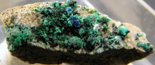 Mixita, conicalcita, olivenita y yeso
Mina La Amorosa, Villahermosa del Río, Castellón, Comunidad Valenciana, España
25 x 8 x 11 mm. (Autor: José Luis Zamora)