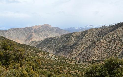 Área de Thirrist.
G. Sobieszek photo. (Autor: Josele)