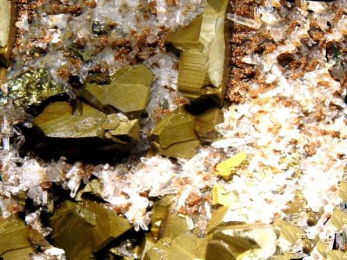 Calcopirita
Mina Alimón, Huarón, Cerro de Pasco, Perú
122 x 80 x 37 mm.
detalle (Autor: José Luis Zamora)