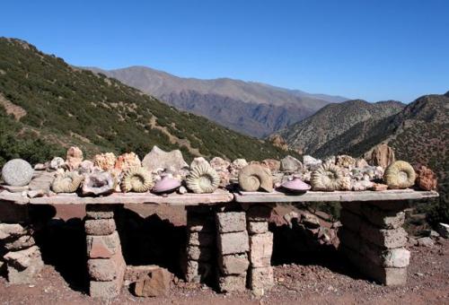 Puesto de venta de minerales y fósiles en el Alto Atlas.
Fot. K. Dembicz. (Autor: Josele)