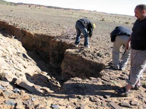 Afloramiento de areniscas y arcillas de edad ordovicica con numerosos trilobites onnia superba y ofiuras.
Fot. K. Dembicz. (Autor: Josele)