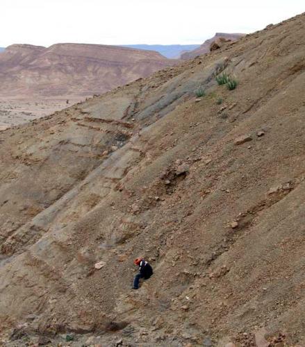 Afloramientos con trilobites en el área de Alnif.
Fot. K. Dembicz. (Autor: Josele)