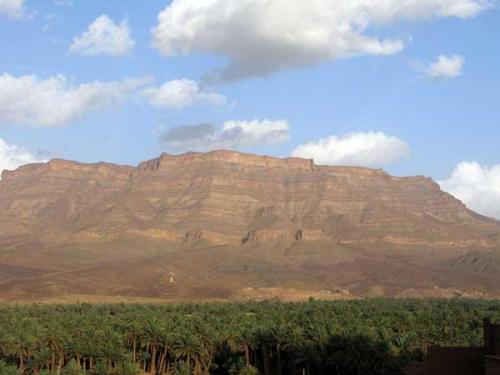 Palmeras y afloramientos paleozoicos en el valle del Draa.
Fot. K. Dembicz. (Autor: Josele)