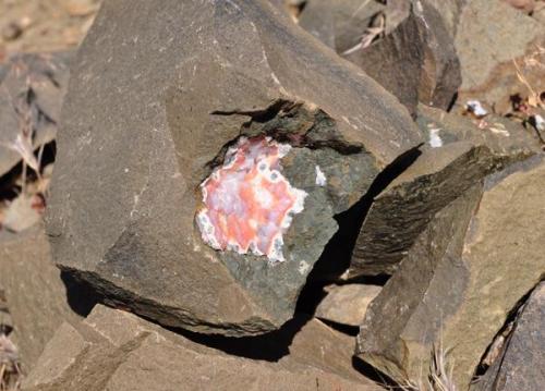 Ágata en basalto en las escombreras de Sidi Rahal.
Fot. K. Dembicz. (Autor: Josele)