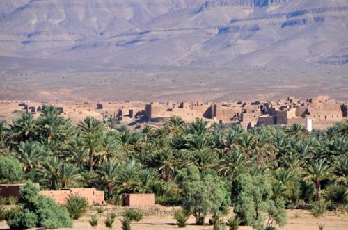 Oasis en el valle del Draa.
Fot. L. Albin. (Autor: Josele)