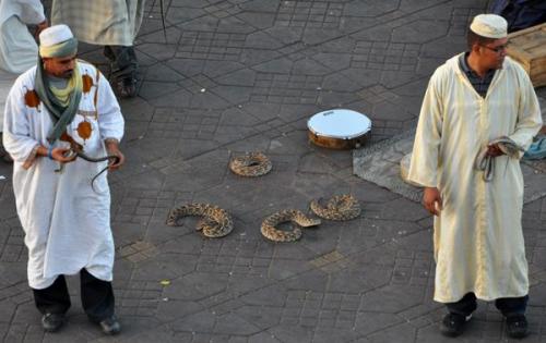 Encantadores de serpientes en la plaza mayor de Marrakech.
Fot. L. Albin. (Autor: Josele)