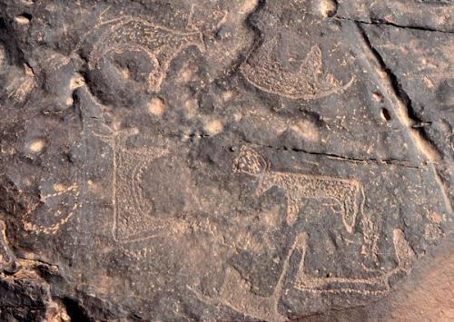 Petroglifos prehistóricos cerca de Taouz.
Fot. L. Albin. (Autor: Josele)
