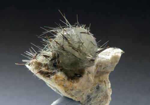 Calcite with hornblende
Minera I Quarry. Lebrija. Sevilla. Andalusian. Spain
Crystal 1 cm.
This head needs a stylist (Author: nimfiara)