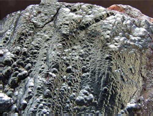 Hematite (var Kidney Ore)
Frizington Parks / New Parkside mine, Frizington, Cumbria
50 x 40 mm (Author: nurbo)