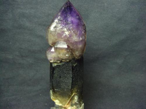 Amatista en cetro sobre cristal de Cuarzo, pieza extraída el 26 de mayo de 2010
Massabé, Sils, La Selva, Girona, Cataluña, España
13x4 cm (Autor: jaume.vilalta)