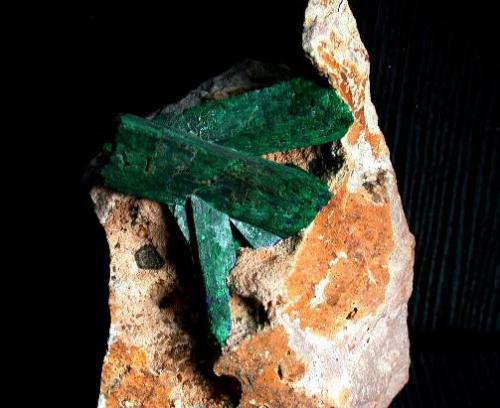 Malaquita pseudomórfica de Azurita
Kerrouchen, Khénifra, Marruecos
Cristal mayor 6 cm.
Hallazgo de 1978
Colección y foto: Peter Seroka (Autor: Peter Seroka)