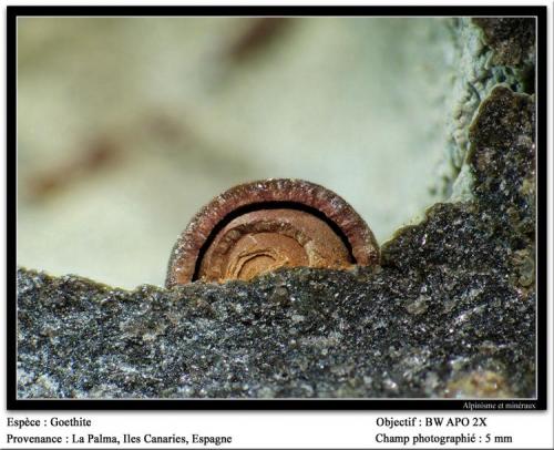 Goethite
La Palma, Canary Islands, Spain
fov 5 mm (Author: ploum)