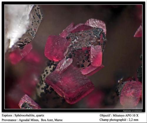 Spherocobaltite
Agoudal Mines, Bou Azer, Tazenakht, Ouarzazate, Morocco
fov 2.2 mm (Author: ploum)