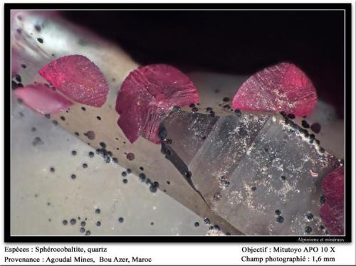 Spherocobaltite
Agoudal Mines, Bou Azer, Tazenakht, Ouarzazate, Morocco
fov 1.6 mm (Author: ploum)