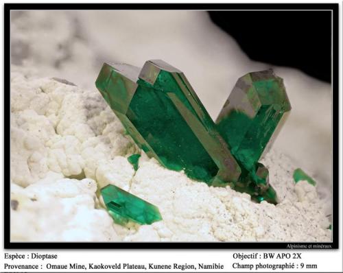 Dioptase
Omaue Mine, Kaokoveld Plateau, Kunene Region, Namibia
fov 9 mm (Author: ploum)