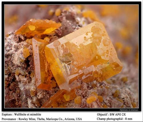 Wulfenite
Rowley mine, Theba, Maricopa Co., Arizona, USA
fov 8 mm (Author: ploum)
