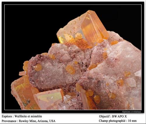Wulfenite
Rowley mine, Theba, Maricopa Co., Arizona, USA
fov 10 mm (Author: ploum)