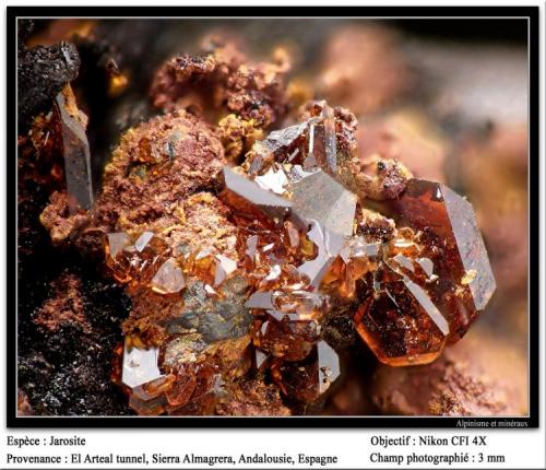 Jarosite
El Arteal tunnel, Sierra Almagrera, Cuevas del Almanzora, Almería, Andalusia, Spain
fov 3 mm (Author: ploum)