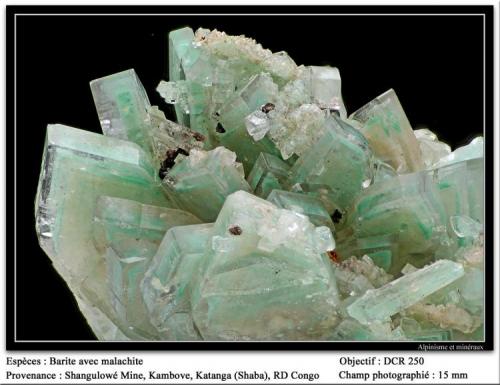 Barite and malachite
Shangulowé Mine, Kambove, Katanga, RD Congo
FOV 15 mm (Author: ploum)