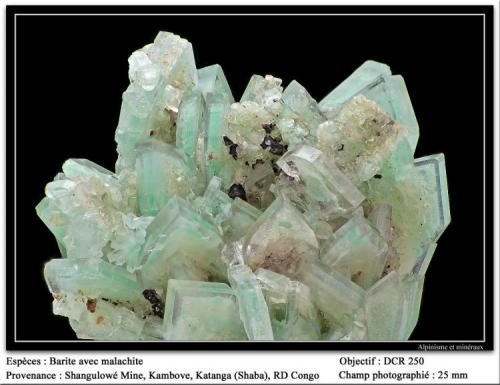 Barite and malachite
Shangulowé Mine, Kambove, Katanga, RD Congo
fov 25 mm (Author: ploum)