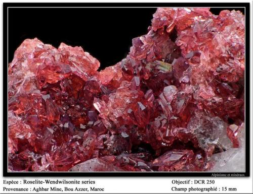 Wendwilsonite
Aghbar Mine, Bou Azzer, Morocco
fov 15 mm (Author: ploum)