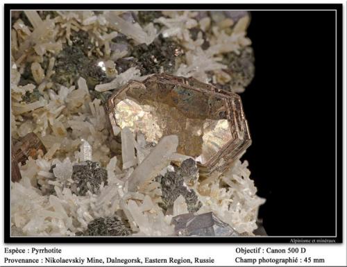 Pyrrhotite
Dalnegorsk, Primorskiy Kray, Russia
fov 45 mm (Author: ploum)