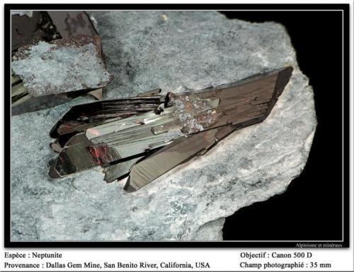 Neptunite
Dallas Gem Mine, New Idria, Diablo Range, San Benito Co., California, USA
fov 35 mm (Author: ploum)