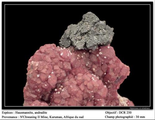 Hausmannite, Andradite
N’Chwaning II Mine, Kuruman, Kalahari manganese fields, Northern Cape, South Africa
fov 30 mm (Author: ploum)