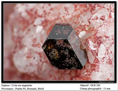 Uvite on magnesite
Pomba Pit, Brumado, Brazil
fov 15 mm (Author: ploum)