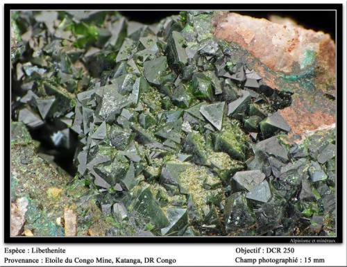 Libethenite
Etoile du Congo Mine, Katanga, RD Congo
fov  15 mm (Author: ploum)