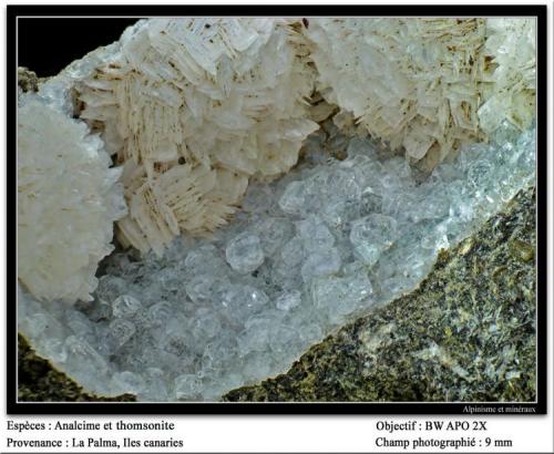 Analcime and thomsonite
La Palma, Canary Islands, Spain
fov 9 mm (Author: ploum)