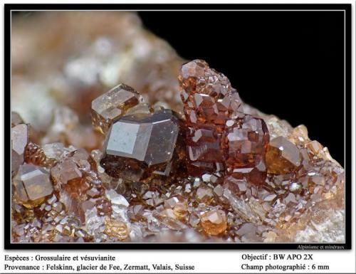 Grossular, vesuvianite
Felskinn, Saas Fee, Zermatt, Valais, Switzerland
fov 6 mm (Author: ploum)