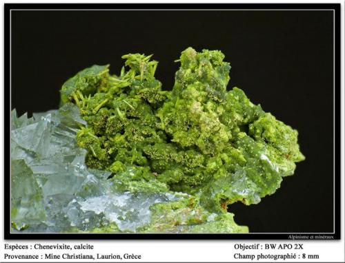 Chenevixite, calcite
Christiana mine, Laurion, Attika, Greece
fov 15 mm (Author: ploum)